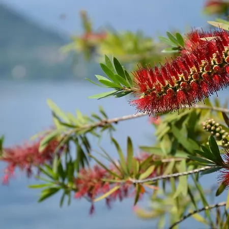 La Casetta Hébergement de vacances *