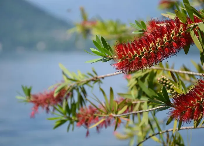 La Casetta Σπίτι διακοπών *