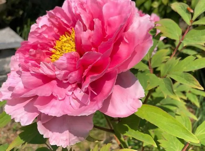 La Casetta Βαρένα